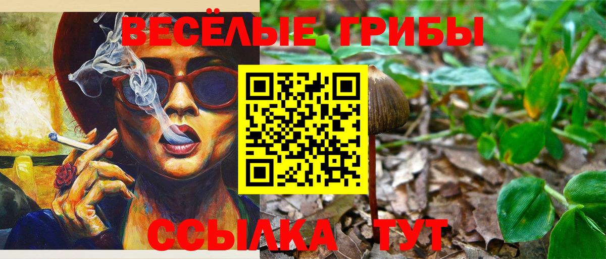 Галлюциногенные грибы Magic Shrooms Советск